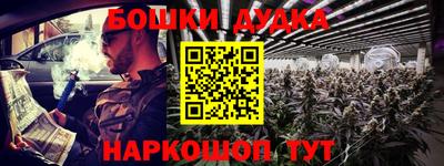МДПВ Лесосибирск