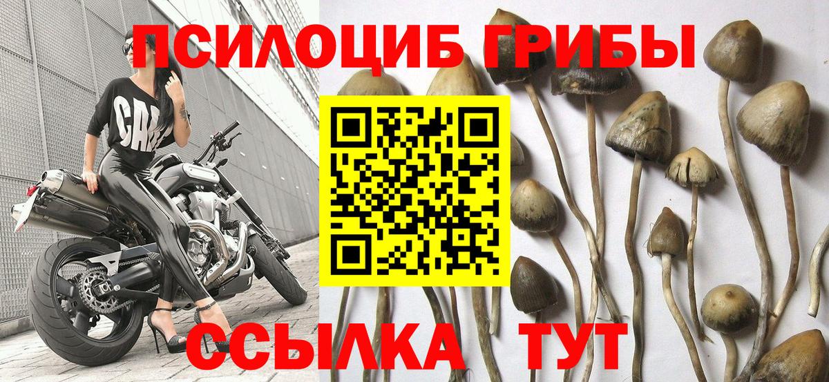 Псилоцибиновые грибы прущие грибы  Вход с VPN  Галлюциногенные грибы MAGIC MUSHROOMS  Урюпинск 